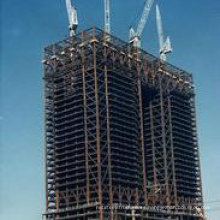 Precio bajo y buena calidad Edificio de la estructura de acero